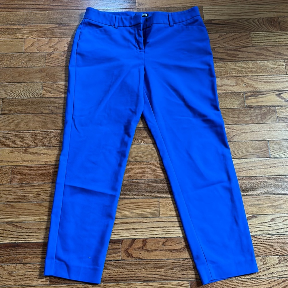 Blue Express editor pants